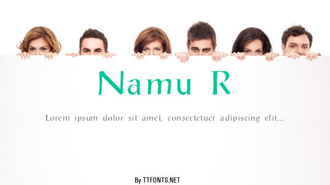 Namu R example